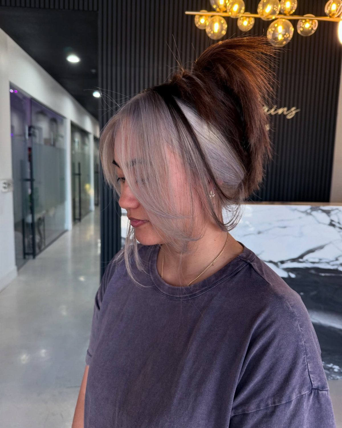 Woman with dark brown hair and prominent silver face-framing streaks