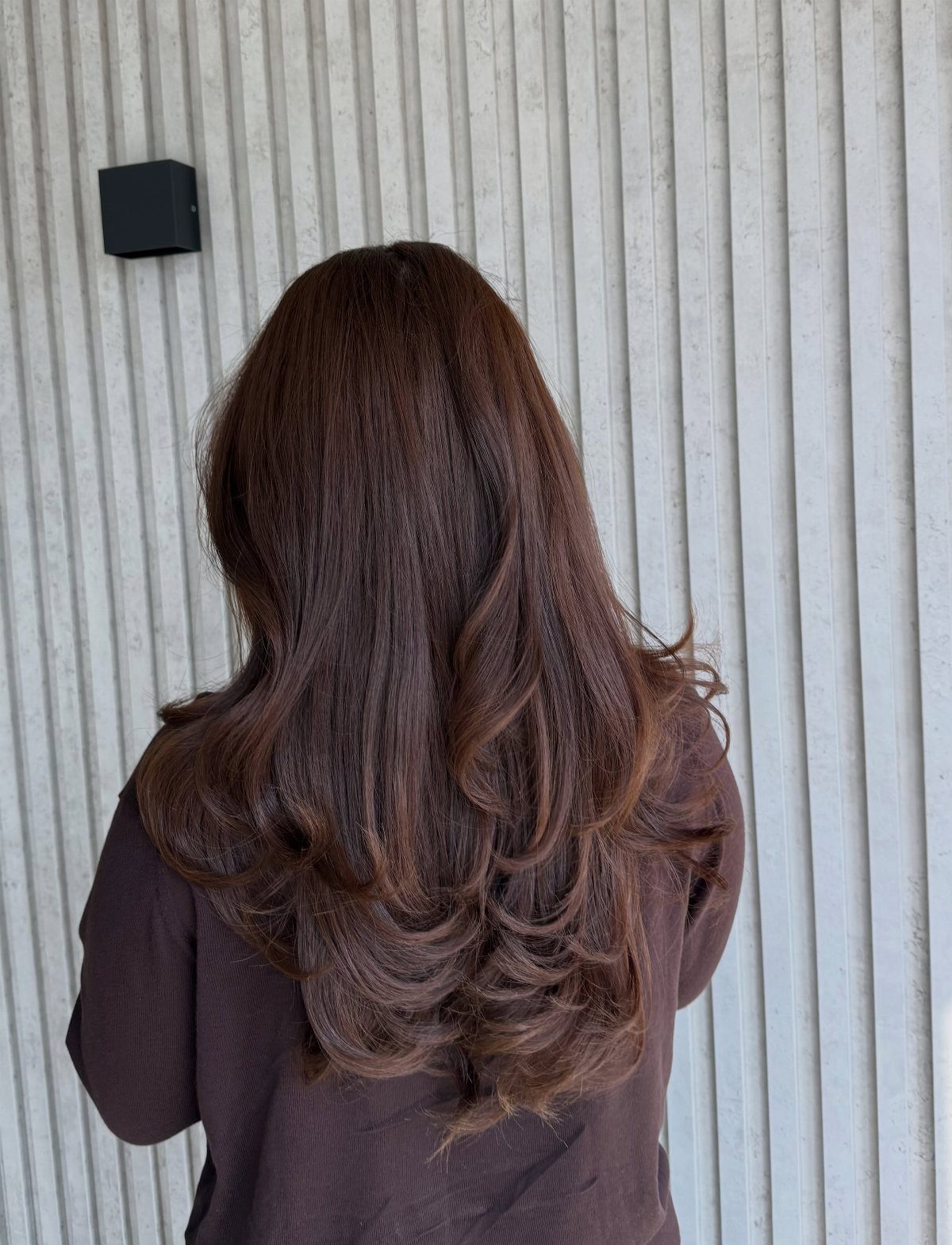 Layered walnut brown hair with soft curls shown from behind