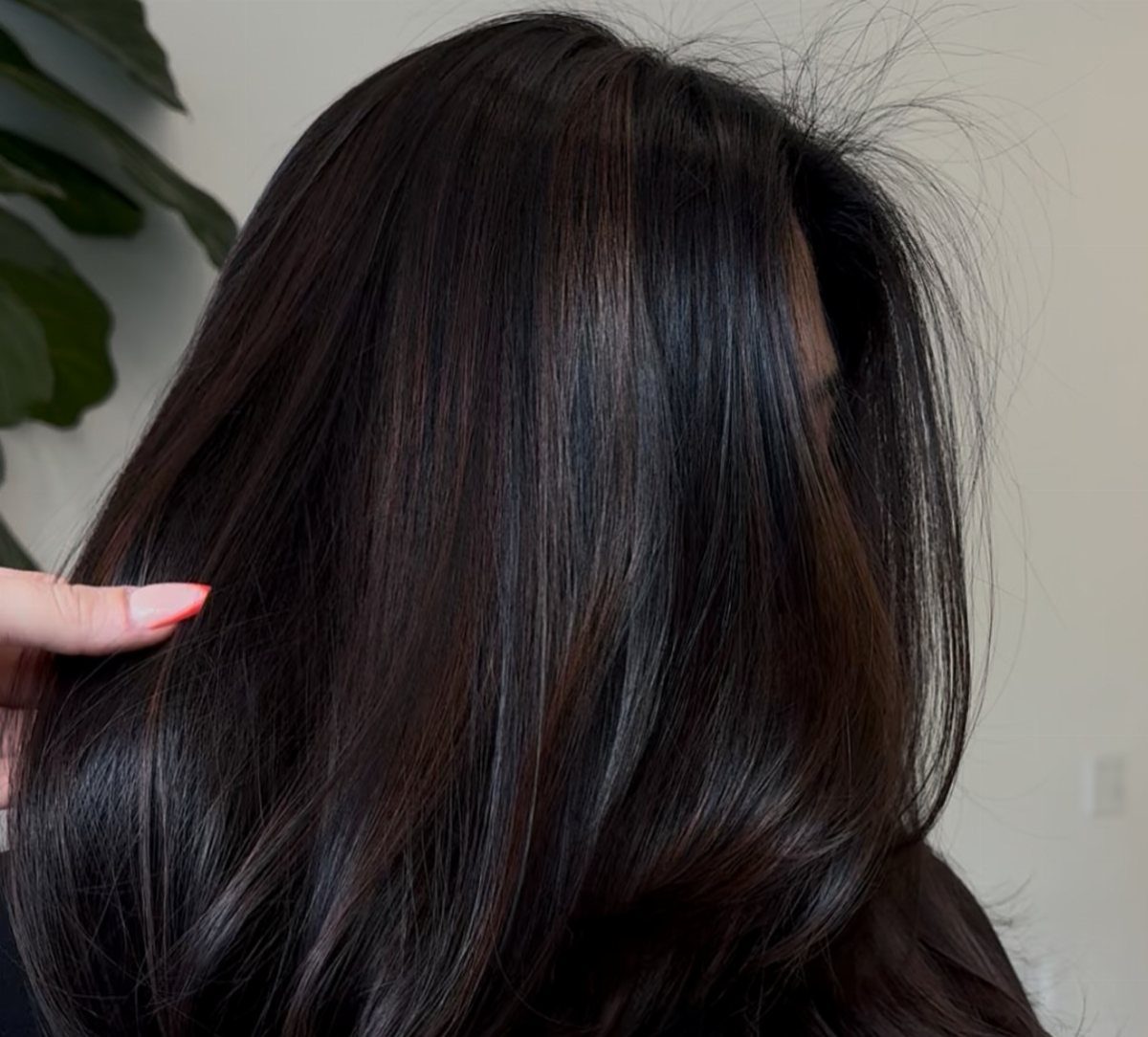 Glossy charcoal-brown hair swept into smooth, layered lengths